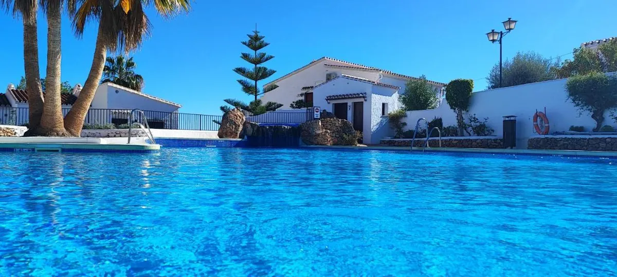 Pool with palms